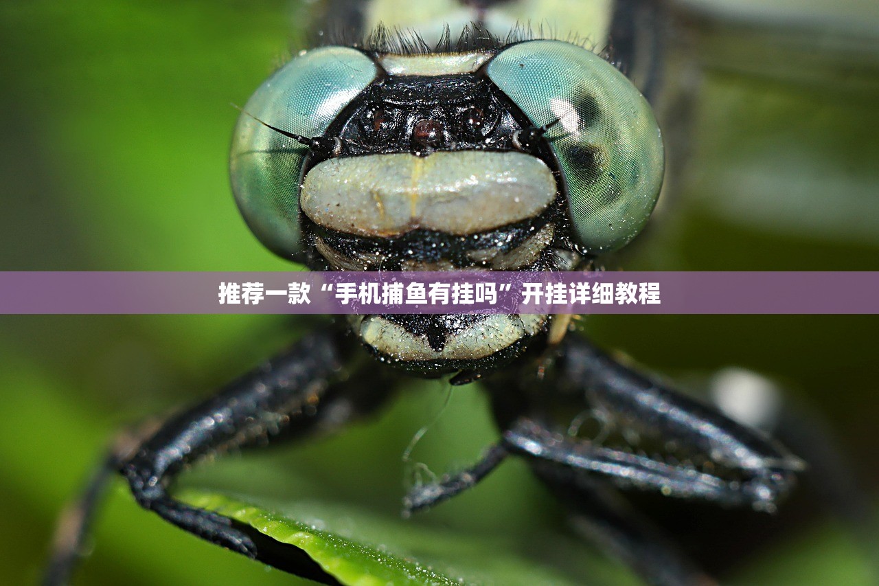 推荐一款“手机捕鱼有挂吗	”开挂详细教程