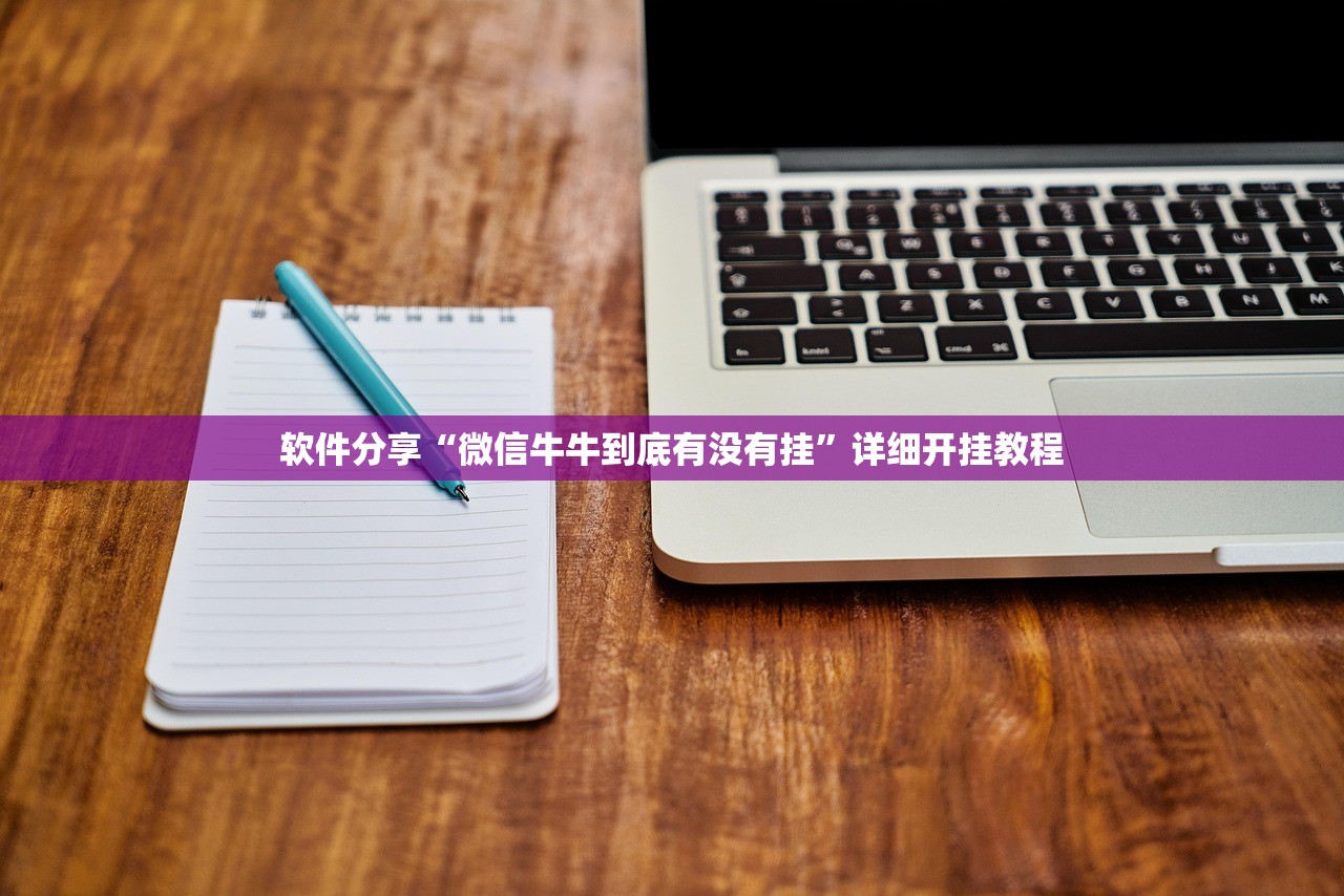 使用分享!微信十三张外卦辅助软件下载”开挂辅助脚本+详细开挂安装教程