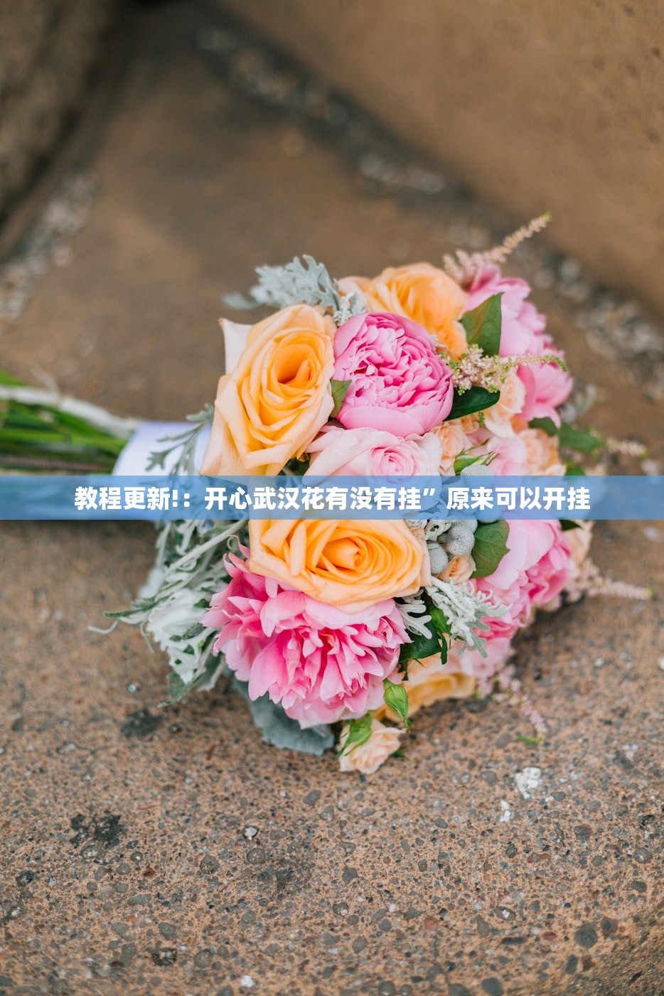教程更新!：开心武汉花有没有挂”原来可以开挂