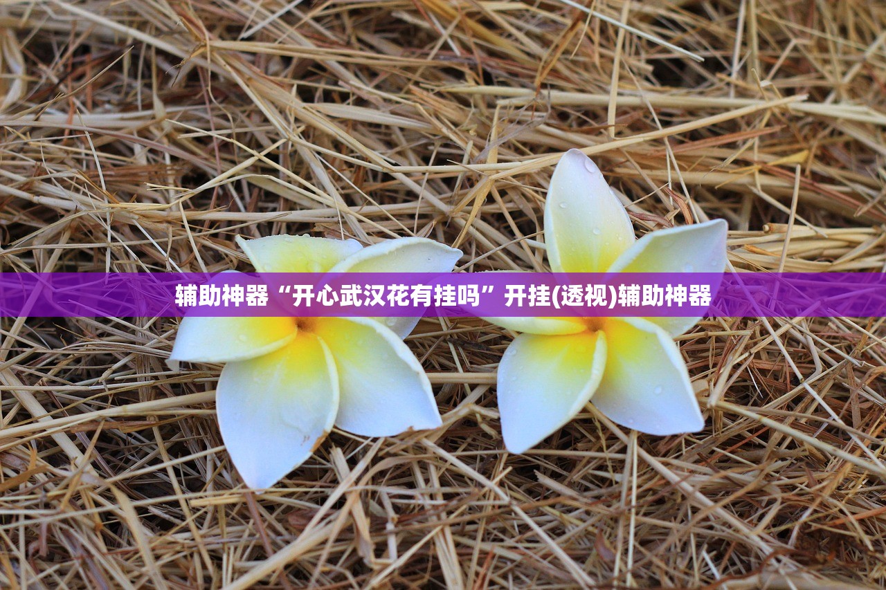 辅助神器“开心武汉花有挂吗”开挂(透视)辅助神器
