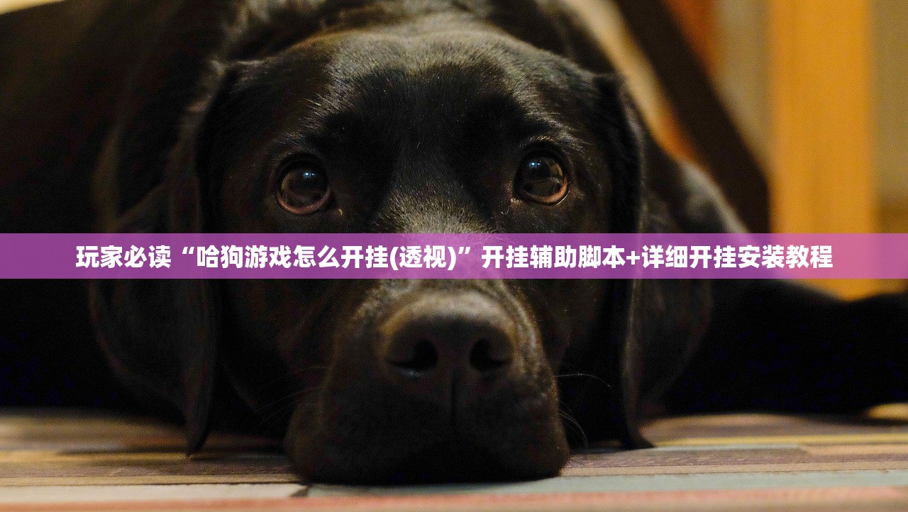 玩家必读“哈狗游戏怎么开挂(透视)”开挂辅助脚本+详细开挂安装教程