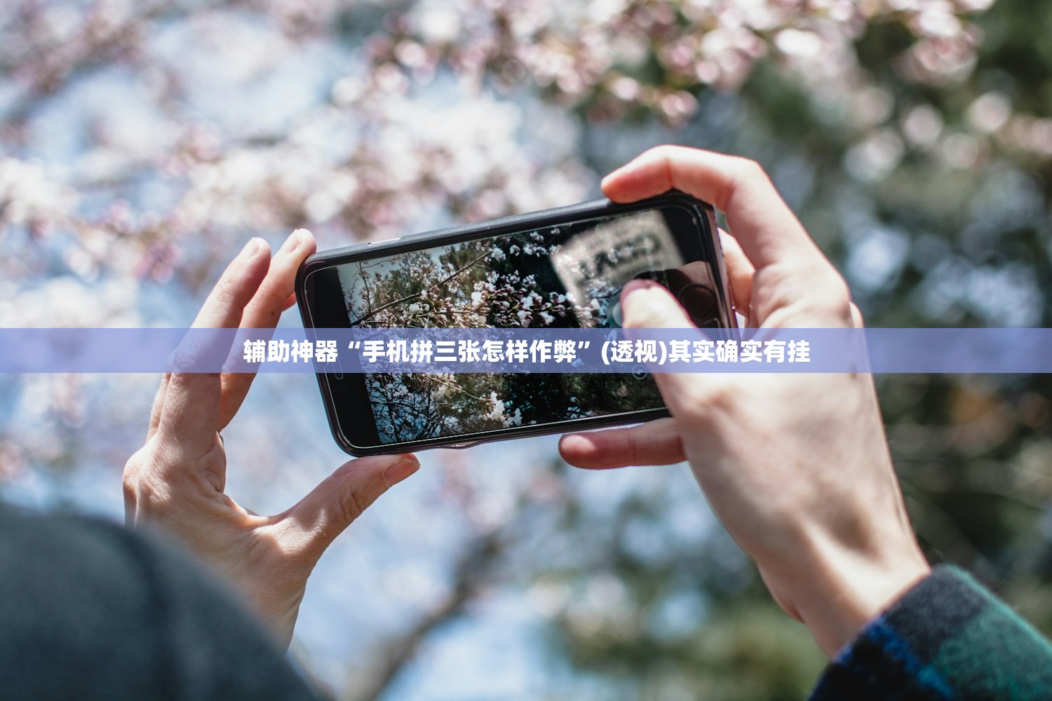 辅助神器“手机拼三张怎样作弊	”(透视)其实确实有挂