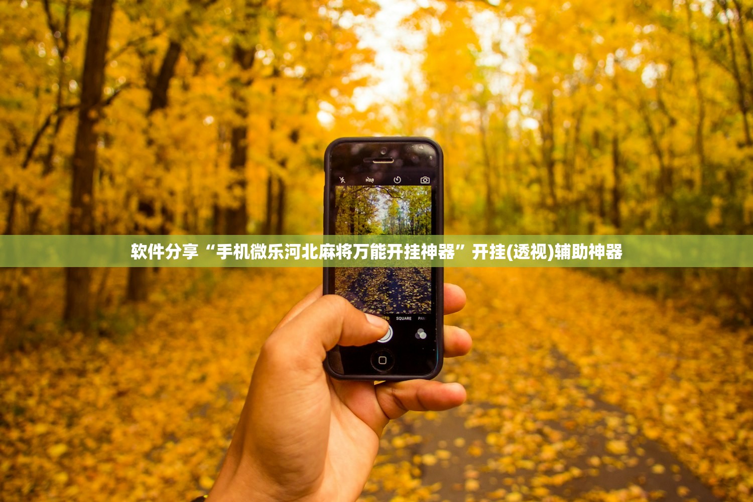 软件分享“手机微乐河北麻将万能开挂神器”开挂(透视)辅助神器