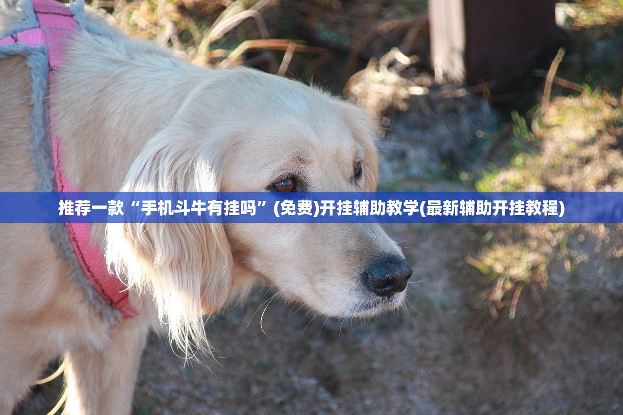 【全系车型/全系车型六纵六横底盘是什么车】