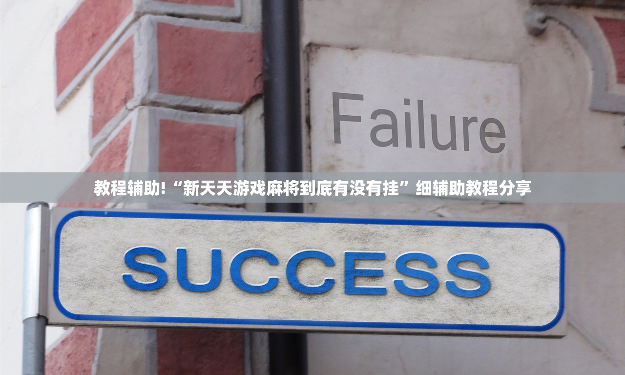 教程辅助!“新天天游戏麻将到底有没有挂”细辅助教程分享