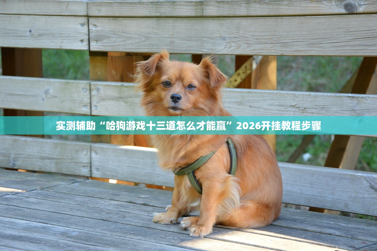 辅助神器“新卡农大厅怎么开挂”细辅助教程分享