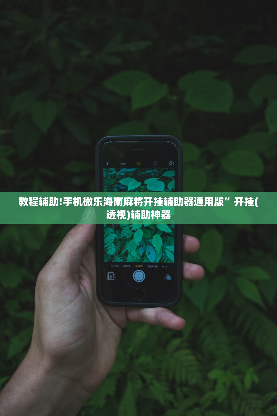 教程辅助!手机微乐海南麻将开挂辅助器通用版”开挂(透视)辅助神器