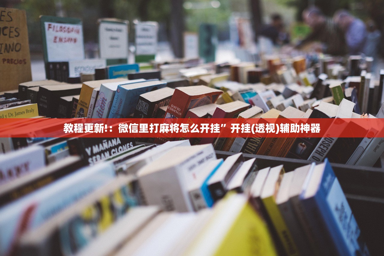 玩家必读“新海贝之城是不是有挂”原来可以开挂
