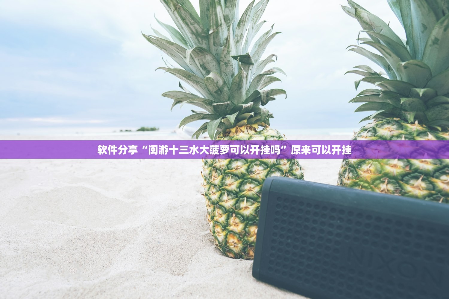车膜的价位是多少（车膜多少钱?）