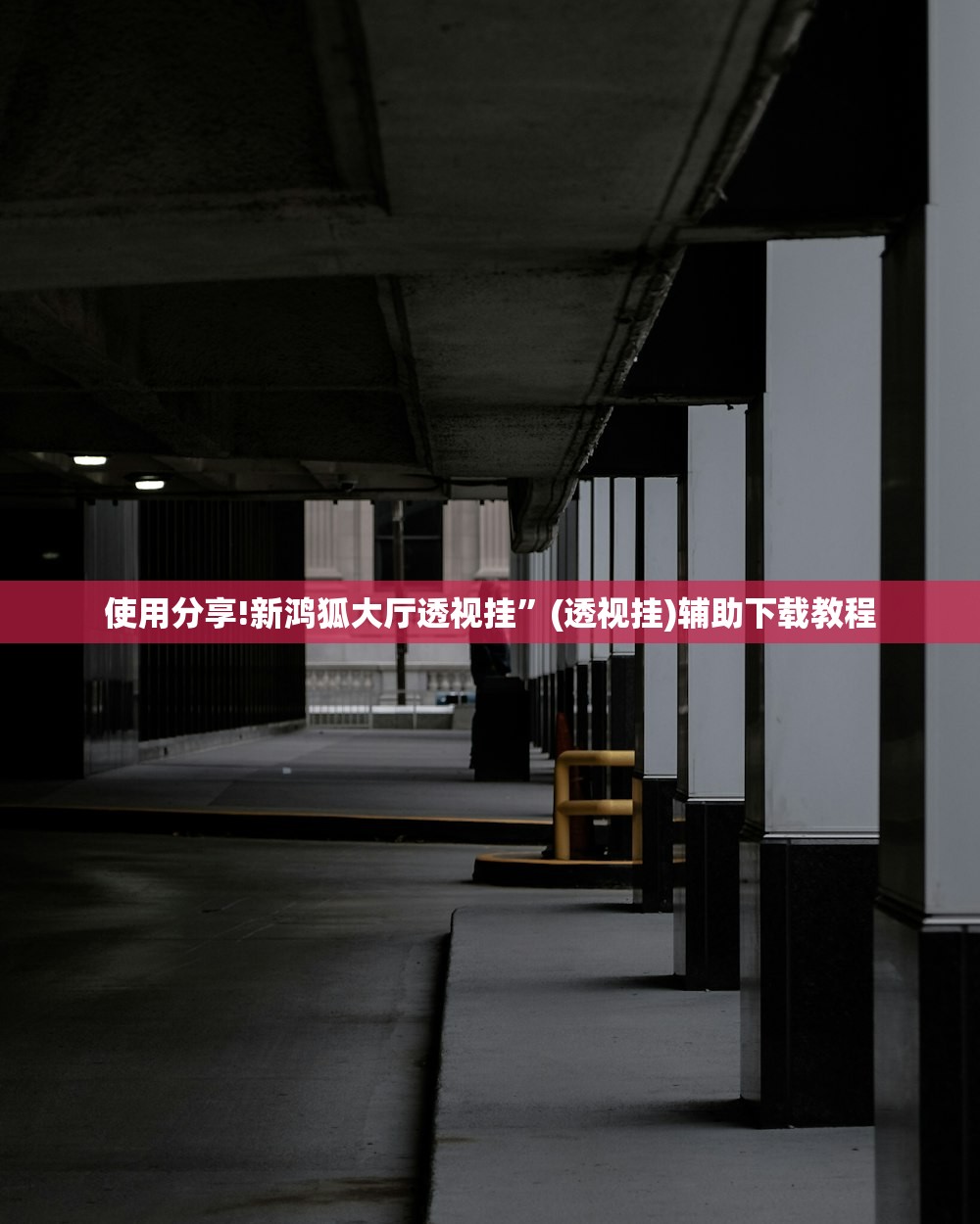 使用分享!新鸿狐大厅透视挂”(透视挂)辅助下载教程