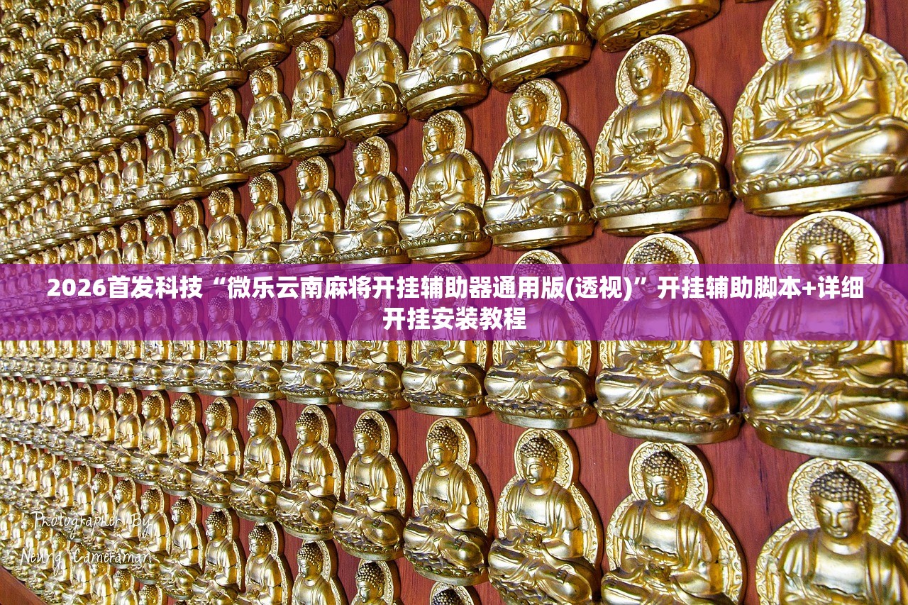 2026首发科技“微乐云南麻将开挂辅助器通用版(透视)”开挂辅助脚本+详细开挂安装教程