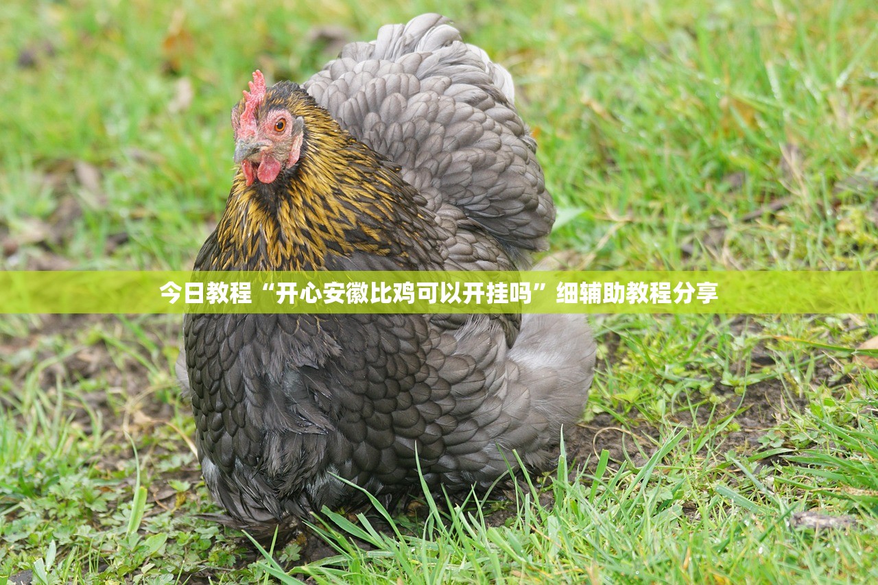 【今日中高风险地区查询,今日中高风险疫情区】
