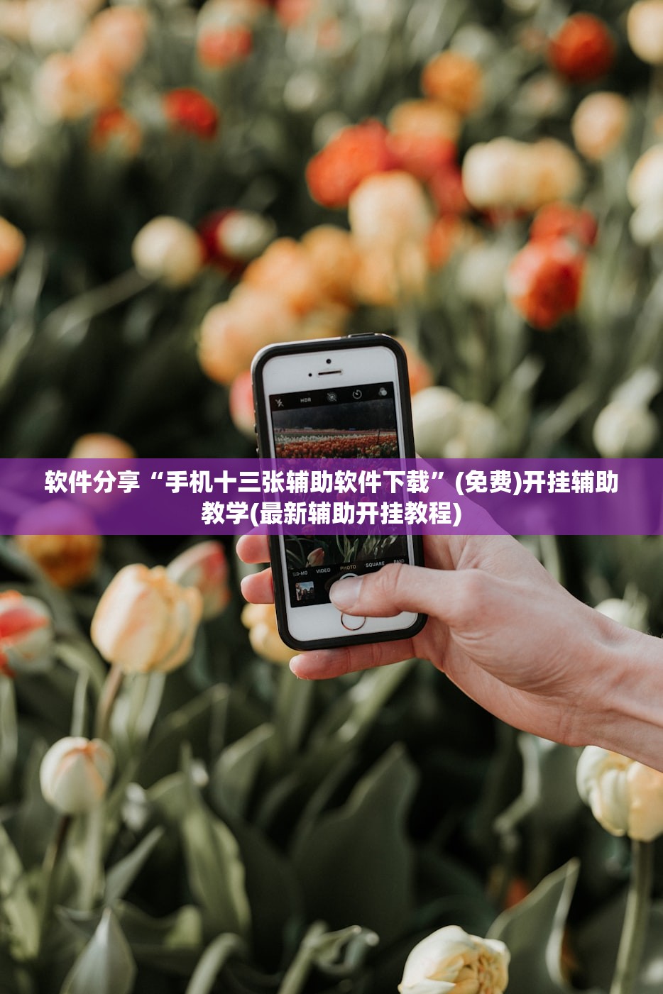 软件分享“手机十三张辅助软件下载”(免费)开挂辅助教学(最新辅助开挂教程)
