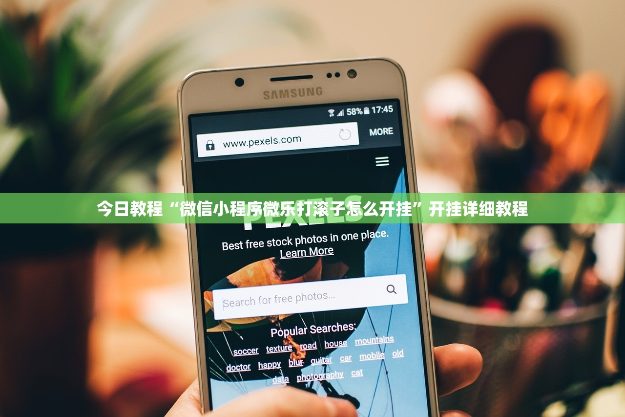 今日教程“微信小程序微乐打滚子怎么开挂”开挂详细教程