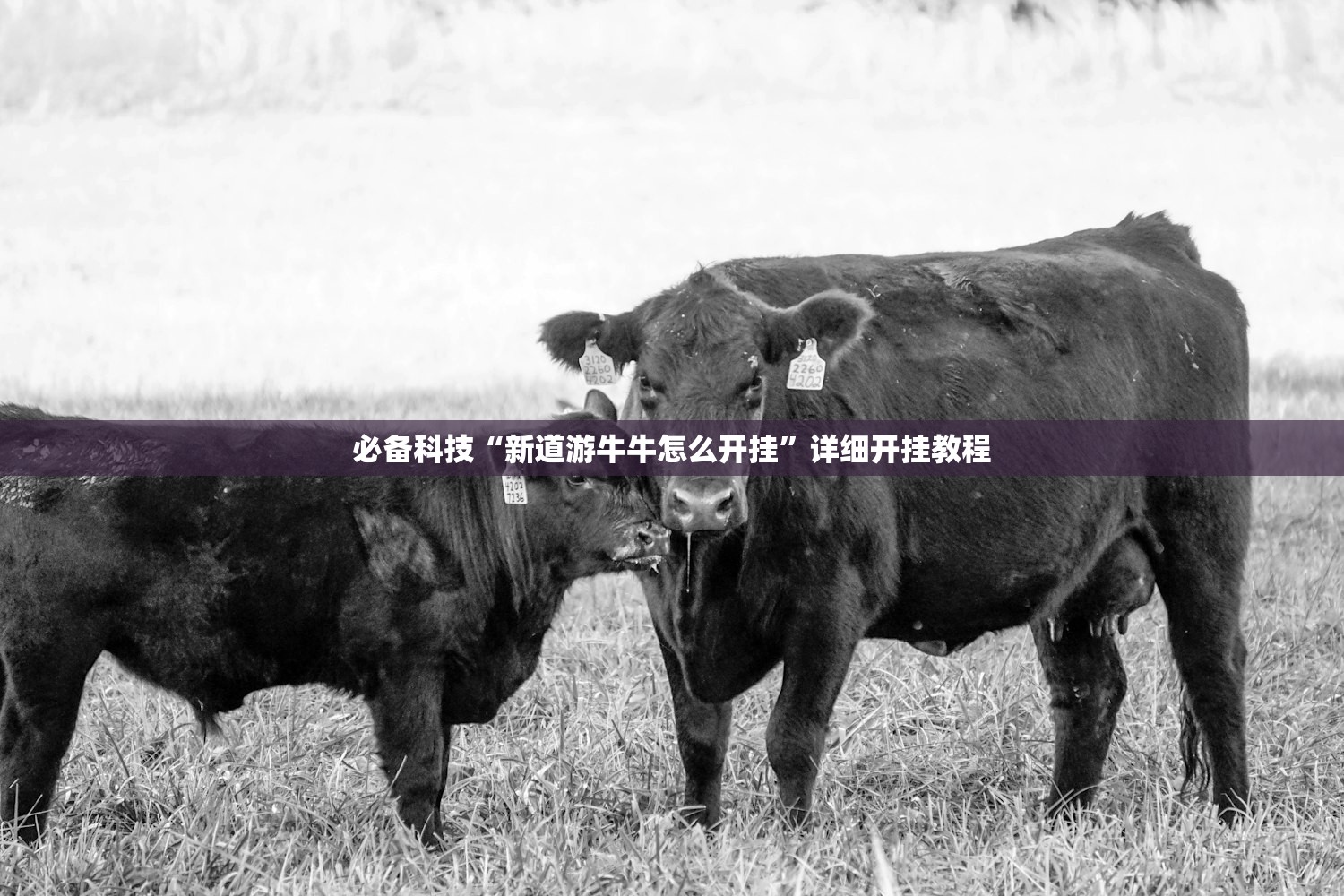 2026首发科技“新众亿大厅可以开挂吗”开挂(透视)辅助教程