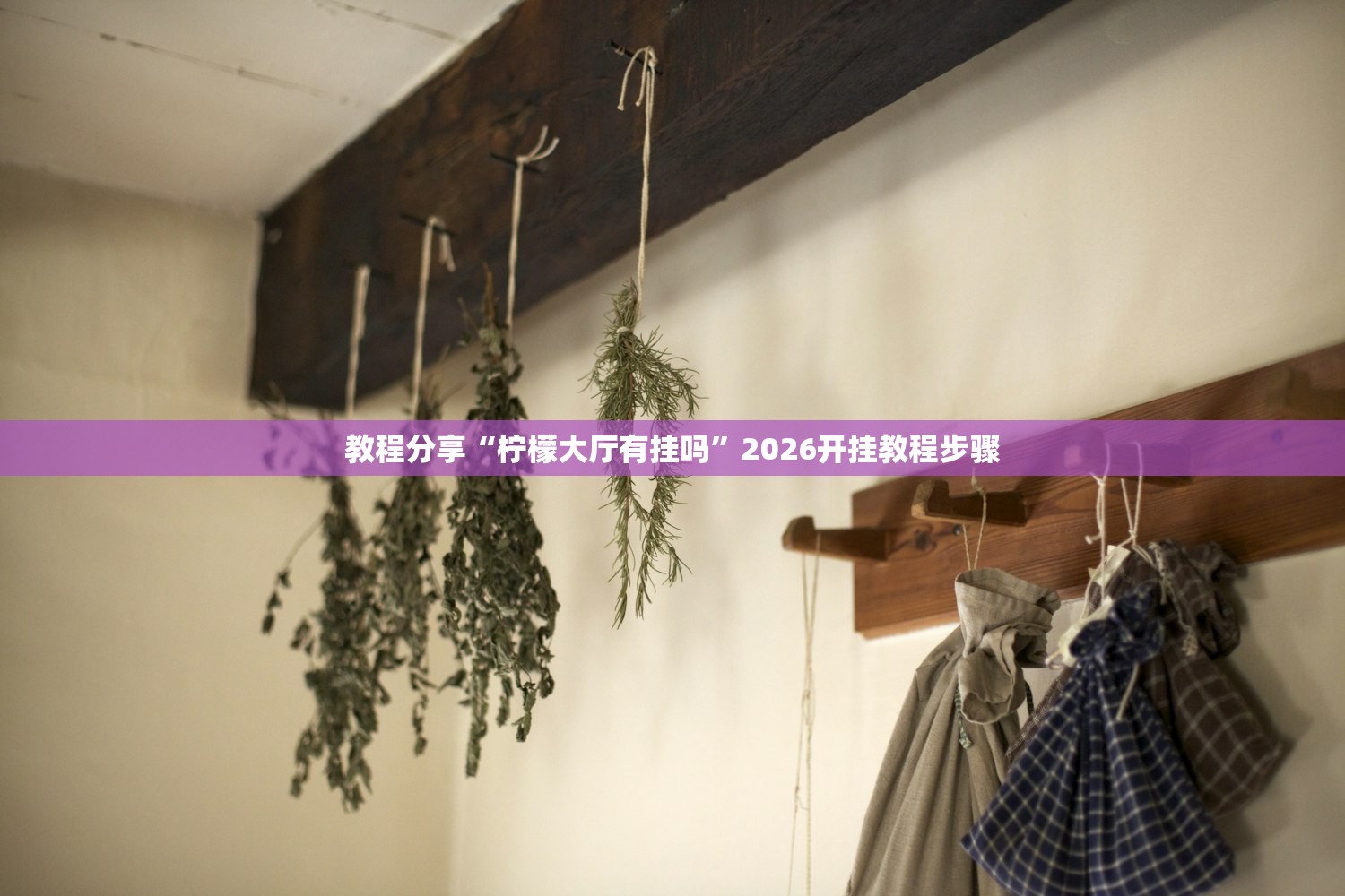 教程分享“柠檬大厅有挂吗”2026开挂教程步骤