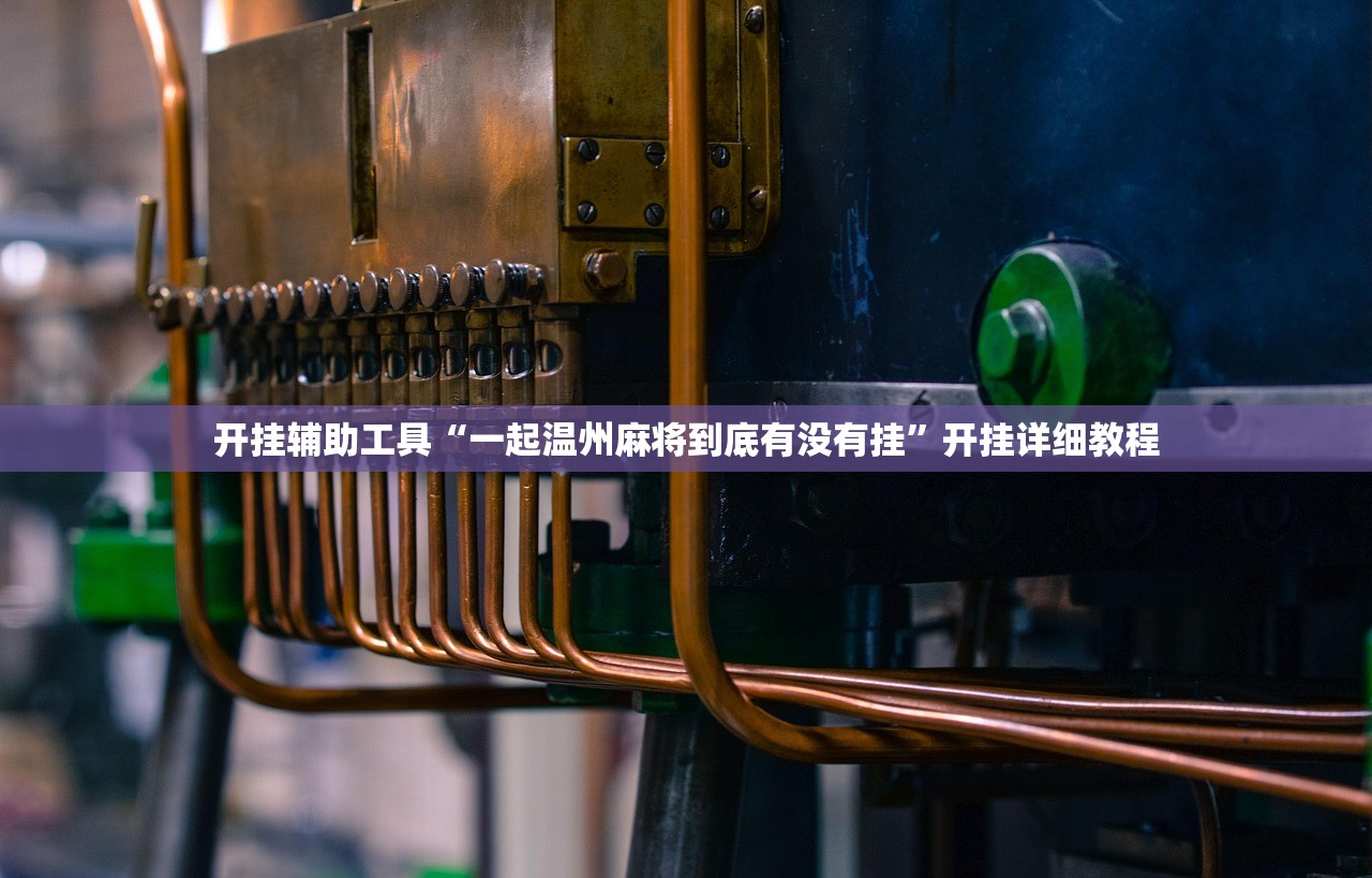 开挂辅助工具“一起温州麻将到底有没有挂	”开挂详细教程