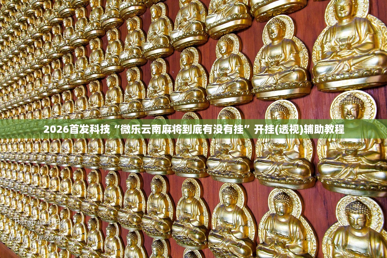 2026首发科技“微乐云南麻将到底有没有挂”开挂(透视)辅助教程