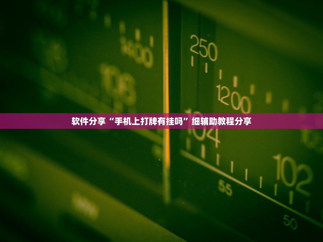 软件分享“手机上打牌有挂吗”细辅助教程分享