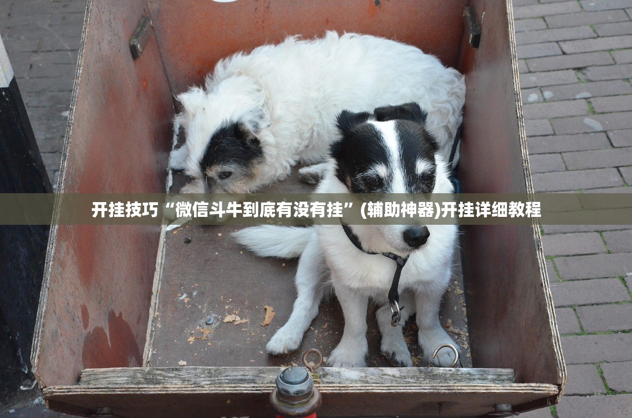 郑州疫情最新新增（郑州疫情最新通报新增确诊病例）
