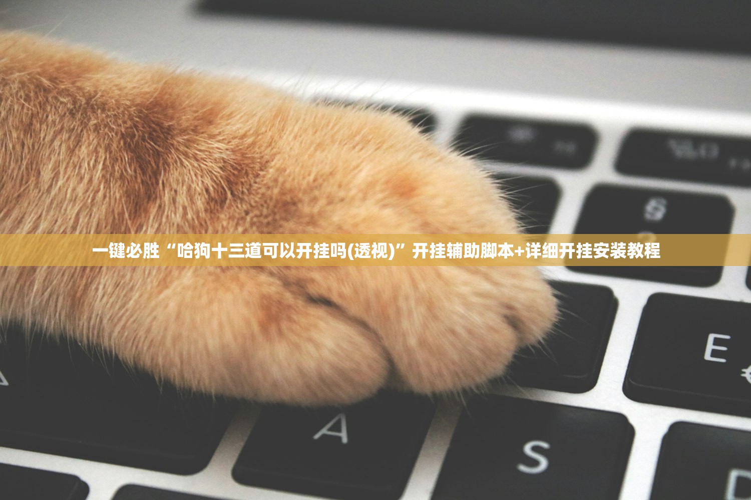 【北京大兴一地封控/北京大兴区封闭了吗 ?】