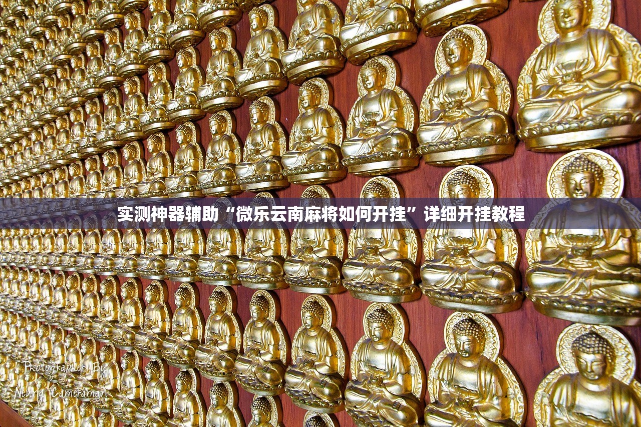 教程辅助!“手机牛牛挂怎么安装视频”科技辅助神器手机版