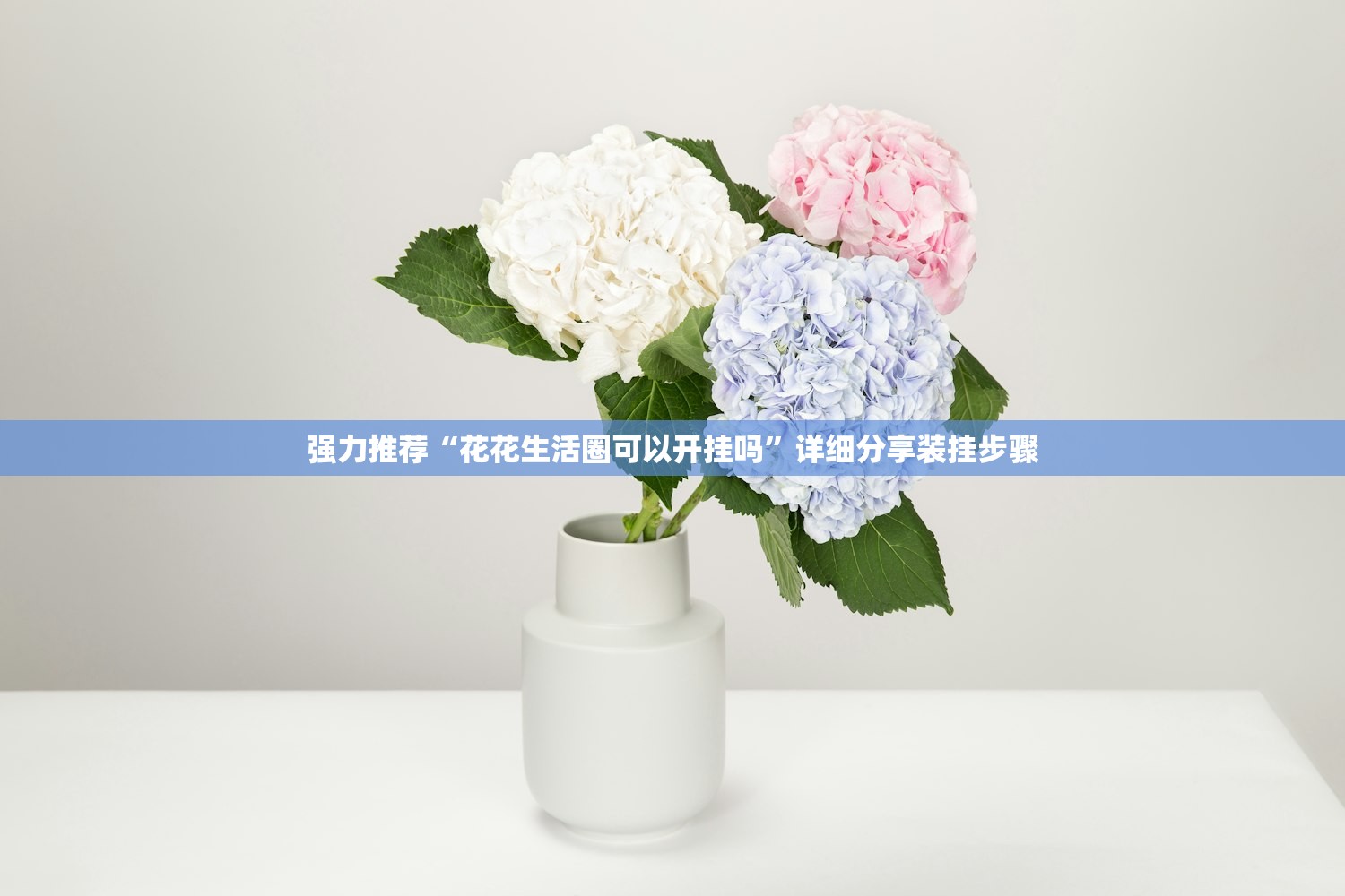 实测辅助“老友麻将有没有挂”详细分享装挂步骤