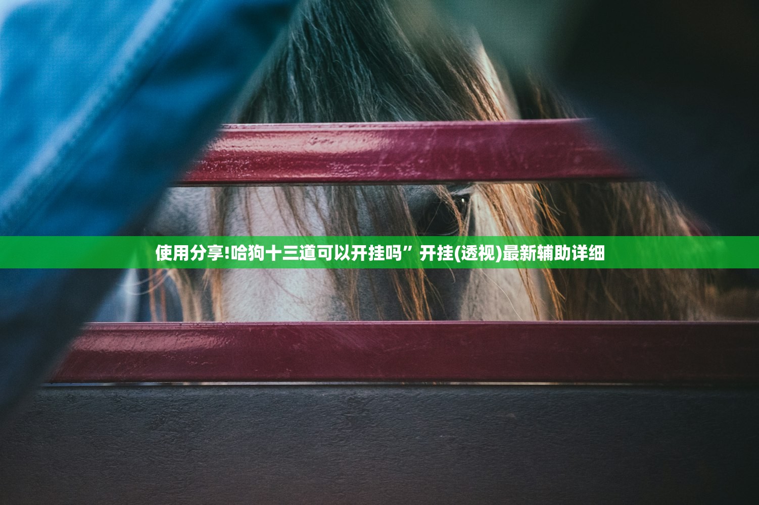 使用分享!哈狗十三道可以开挂吗”开挂(透视)最新辅助详细