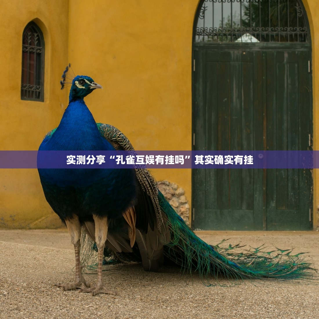 疫情天津/疫情天津市发言人是谁